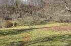 Mihaesti - Sat Draghici, teren intravilan, 7.280 mp