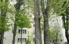 Apartament 3 Camere Fabrica de Gheață, Colentina - 21