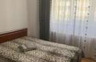 Vanzare 2 camere Pantelimon-Marius - 9