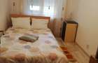 Proprietar inchriez apartament cu 3 camere, zona Dacia 320 euro - 5