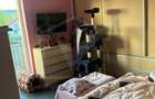 Apartament de 2 camere, recent renovat, zona Muzeul Apei, etaj 1, parcare ! - 11