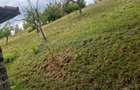 Teren intravilan de vanzare, 26.000 mp, Bulz, Bihor - 6