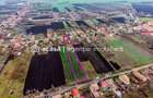 Casă + curte 2.500 mp în Dorobanți - 10