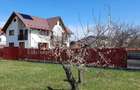 Casa cu 4 camere Pet frendly - zona Aleea 10 - Harman - 1