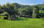Oportunitate, Restaurant cu MiniPensiune 800mp, 1,8ha teren, Via Transilvanica - 19