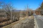 Teren de 30 de ari, Dumitra, 5km de Bistrita - 1