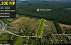 Snagov, Gruiu, Teren Intravilan 8,300 mp, Strada Tobosari - 2