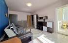 Apartament 2 camere, mobilat si utilat, interesctia Podu de Fier - 9