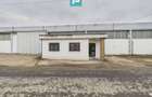 Hală cu teren intravilan de 3500 mp, în Sebiș Arad - 19