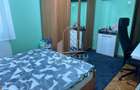 Apartament cu 2 camere de vanzare, cu boxa zona Cetatii, in Timisoara - 5