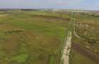 Vand 5000 mp intravilan la 800 m de intersectia AUTOSTRAZILOR A0 si A1 - 8