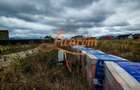 Teren intravilan 500 mp localitatea Cristian Brasov pret 58000 euro - 4