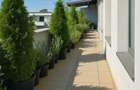 Penthouse - 5 camere - decomandat - Mihai Bravu - 6