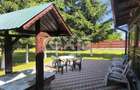 Casă deosebită 5 camere, 2100 mp teren, livadă – Mălureni, Argeș - 6