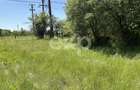 Teren 2.200 mp lângă pădure, la 11 km de Pitești – ideal pentru casă și relaxare - 3