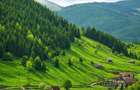 7.000 mp, pozitie spectaculoasa, fara vecini, Fundatica, Brasov - 9