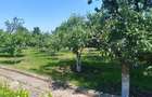 Casă de vânzare în Cucorăni - 5
