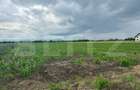 Teren intravilan ,4900 mp , 25ml front, Fratautii Vechi, Radauti - 7