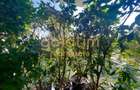 NEW/ONE FLOREASCA LAKE - 11