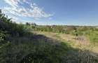 Casă de vânzare | Horodniceni | 3200 MP Teren intravilan - 9