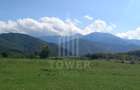 Teren intravilan de vânzare | Valea Avrigului-Porumbacu de Jos - 2