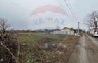 Teren intravilan de vanzare, 1000 mp, Branesti,  lfov - 5