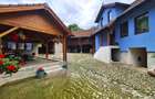 Casa rustica \ deosebita \ Marginimea Sibiului \ Fantanele - 2
