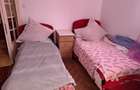 Pache Protopopescu: Apartament 2 camere parter de vilă cu grădină/curte - 5