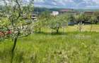 Investitie ! Teren intravilan,494 mp, front 14 m,cart Dâmbul Rotund-Lombului   ! - 6