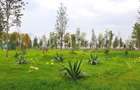 Apartament 2 camere, langa Parc Tudor Arghezi, Metalurgiei, Sector 4 - 20
