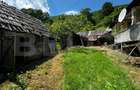 Casă la munte cu teren generos de 9340mp în zona Căpâlna - Valea Sebeșului - 4