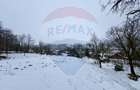 Casa cu 2 camere si teren 4887mp de vanzare in Dabaca - 7
