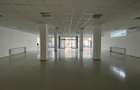 Spatiu comercial mare - Crangasi (aproape de piata, metrou) - 7