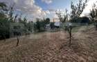 Propietate rara! 125 mp, 1000 mp teren, priveliste panoramica - 14