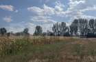 Teren extravilan, 9000 mp, zona Nusfalau - 2