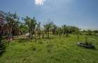 RACARI - DAMBOVITA, CASA PE PARTER 85 MP, LOT 2200 MP! - 4