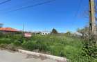 Teren de vanzare in localitatea Zebil judetul Tulcea - 22