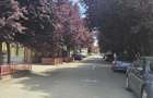 Casa individuala în zona lac/pădure Dumbrăvița  - 4