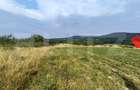 Teren extravilan, de vanzare, 6500 mp,  zona Crasnei - 6