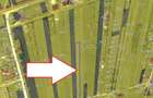 Teren Intravilan 2.500 mp – Lazu | Ideal Dezvoltare Rezidențială - 1