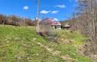 Teren 7,495mp Barsana /  Valea Muntelui