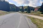 Teren intravilan 2.500 mp in Poiana Aviatorilor. - 1