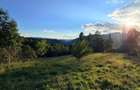 🏔️ TEREN INTRAVILAN DE VÂNZARE – BRAN | 9.085 MP | PRIVELIȘTE PANORAMICĂ | UTIL