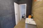 Casa individuala cu 3 camere de vanzare in zona Buziasului - 21