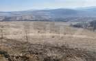 Teren extravilan in suprafata de 140551 mp in loc. Recea - 11