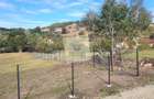 Teren intravilan 1750 mp zona Hamba - 1