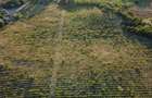 Vand teren, com. Bucov, sat Chitorani, jud. Prahova, 5.62 ha. - 5