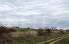 Teren intravilan 3.800 mp, zonă liniștită, Malu Mare - 1