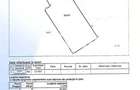 Teren intravilan 13.551 MP | Vadu Lat | Oportunitate de investitie | - 1