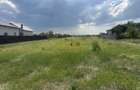 Teren intravilan 3474 mp Bradu-Auchan - 2